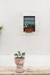 Obraz na płótnie Canvas window with flowers in Europe