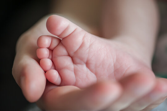 Close-up detail of parent holding cute and soft baby small leg in his hands. Macro abstract view of sweet baby foot fingers. Soft child skin feet. Love and family emotion