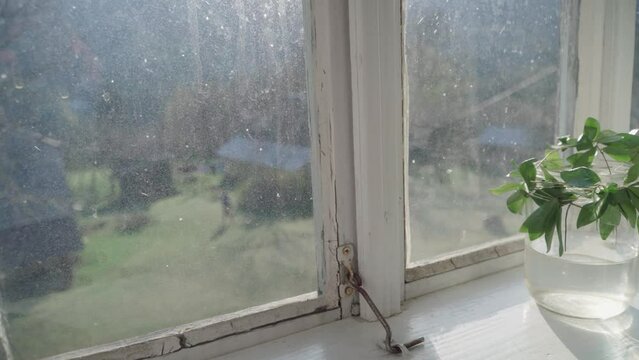 window in the garden