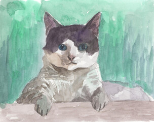 cat watercolor painting