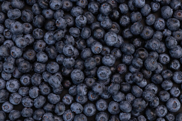 fresh blueberries background close up, top view