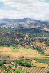Views of the Ronda mountain range (Spain). Views of pastures and crops with the Sierra de Grazalema in the background. Rural landscape of a vast cultivated plain surrounded by high mountains.