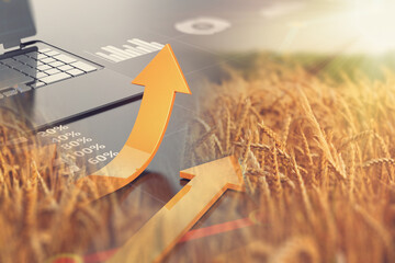 Agricultural Analysis Commodity Grain Stock Chart Market and Cultivation. Global Food Crisis Concept Presentation.