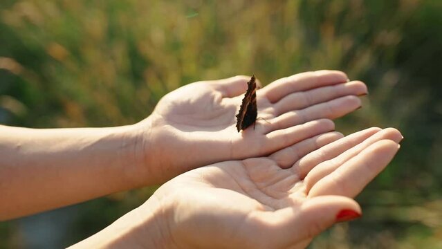 The girl holds a butterfly in her hands, opening her hands releases a butterfly.