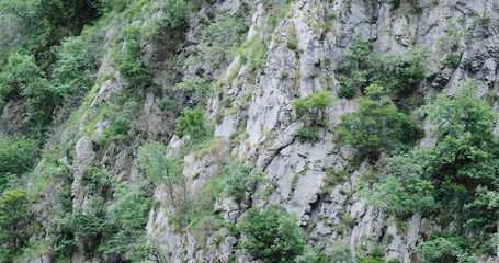 Mountains rocks covered green bushes, trees in summer Albanian Alps. Close-up, flying along layered rocky mountains with growing plants. Beautiful Albania nature. Natural abstract background 