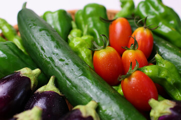 朝摘み夏野菜クローズアップ