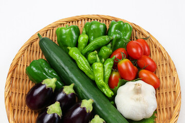 採れたて夏野菜