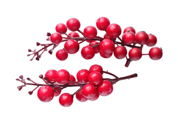 Christmas red berries isolated on white background, Christmas traditional decor