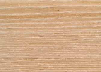 Background with wood texture. Wooden surface close up.