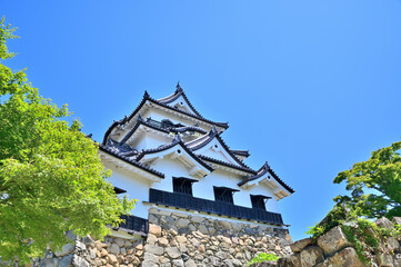 Fototapeta na wymiar Main tower of Hikone castle under the blue sky, Shiga prefecture, Japan