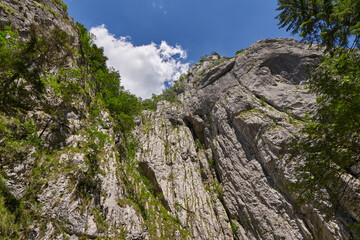 Rocky mountains in the summer