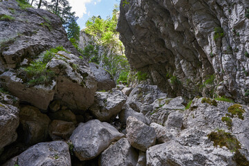 Canyon with huge boulders