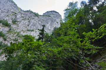 Rocky mountains in the summer