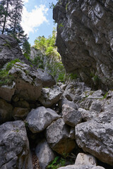 Canyon with huge boulders