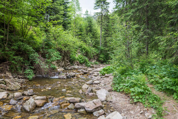 river with big stones in the mountains.