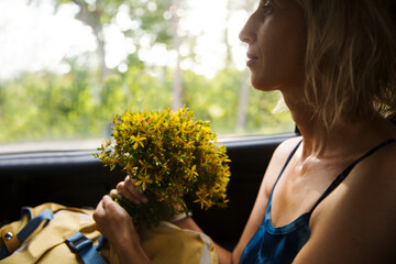 middle aged woman with a bouquet of yellow fragrant medicinal field herbs driving in a car from...