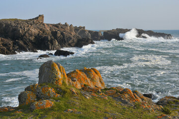Pointe de la Tranche, ile d'Yeu, Vendée, France