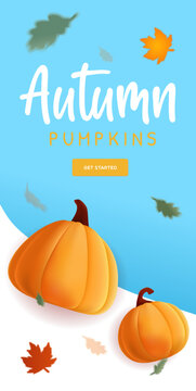 Blue banner autumn with illustration of realistic pumpkins and flying leaves.