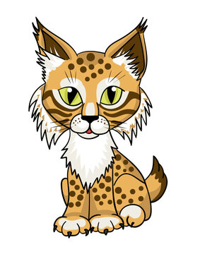 Cute little lynx or bobcat cub, sitting. Vector cartoon illustration, isolated on white.