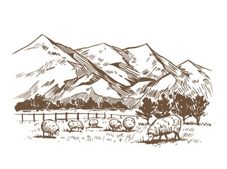 Rural landscape with sheep on field and mountain. Hand drawn vector illustration
