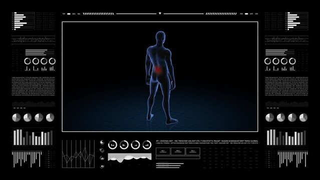Man with lumbar pathology. 3d body of boy. Rotating animation and closeup of male human structure.