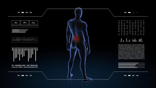 Man with lumbar pathology. 3d body of boy. Rotating animation and closeup of male human structure.