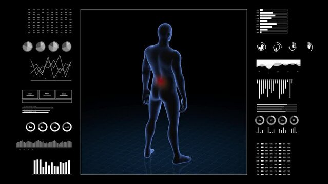 Man with lumbar pathology. 3d body of boy. Rotating animation and closeup of male human structure.