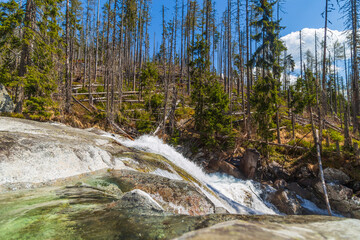 Stream in High Tatras mountains © Rui Vale de Sousa