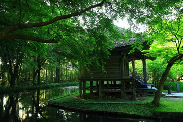 世界遺産　岩手県平泉町　夏の中尊寺