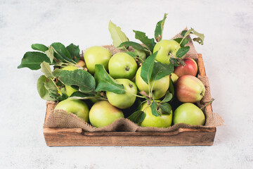 Basket with fresh ripe apples standing on a table, fruit harvest in the summer, healthy organic food
