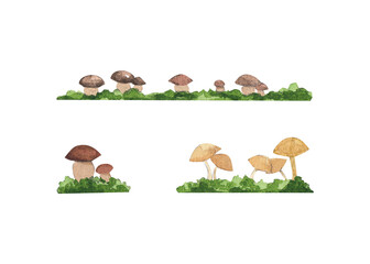 watercolor texture with mushrooms, bushes with mushrooms