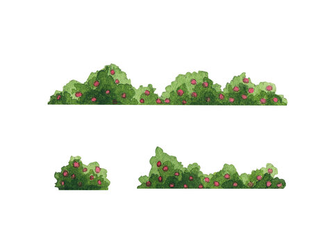 bushes