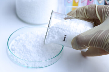 Urea in glass, chemical in the laboratory