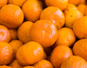 apetitic juicy farm mandarins at market counter