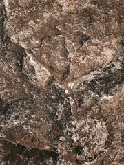 close up of stone wallpaper and background copy space