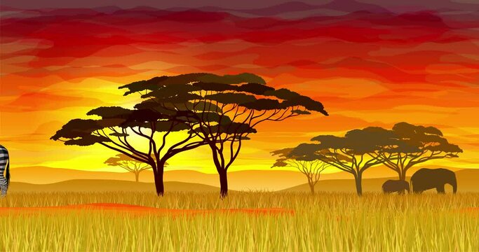 African safari animated loop 4K video with cloudy orange sunset. Perfect for travel agencies advertizing