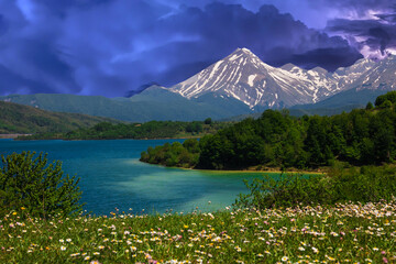 Obraz premium Panoramic view of Campotosto lake with wild flowers during spring storm in Abruzzo Italy
