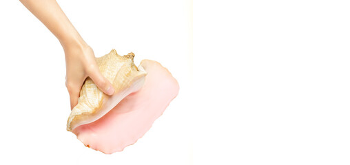 Large seashell in hand. A hand holds a seashell on a white background.