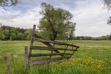 Meadow with wooden gate in rural area of Mazowsze region, Poland