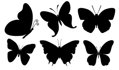 Set of butterflies Silhouettes. Vector graphics illustration of butterfly