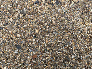 garbage after the surf on the seashore
