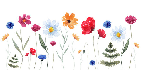 Watercolor floral composition with colorful wildflowers, leaves, plants.