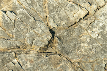 the texture of the stone wall