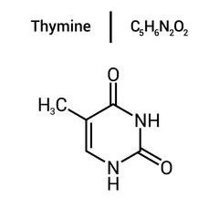 chemical structure of Thymine (C5H6N2O2)
