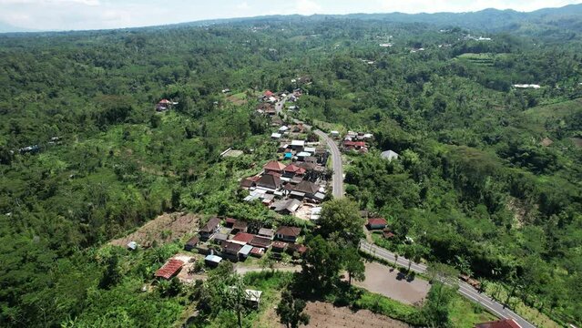 Winding road to Batur mountain run up at side of old volcano. Village buildings along way, green forested volcanic landscape around. Aerial shot of central Bali highland in sunny day