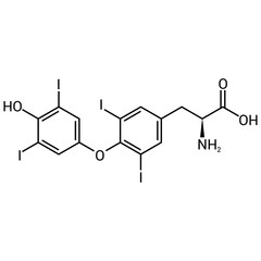 chemical structure of thyroxine (C15H11I4NO4)