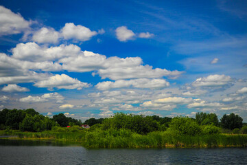 nature of the middle zone of Europe in summer on a sunny day, landscape  