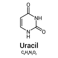 chemical structure of uracil (C4H4N2O2)