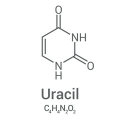 chemical structure of uracil (C4H4N2O2)