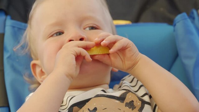 Baby boy eating lemon for the first time and pulling silly faces. Funny child trying lemons for the first time.